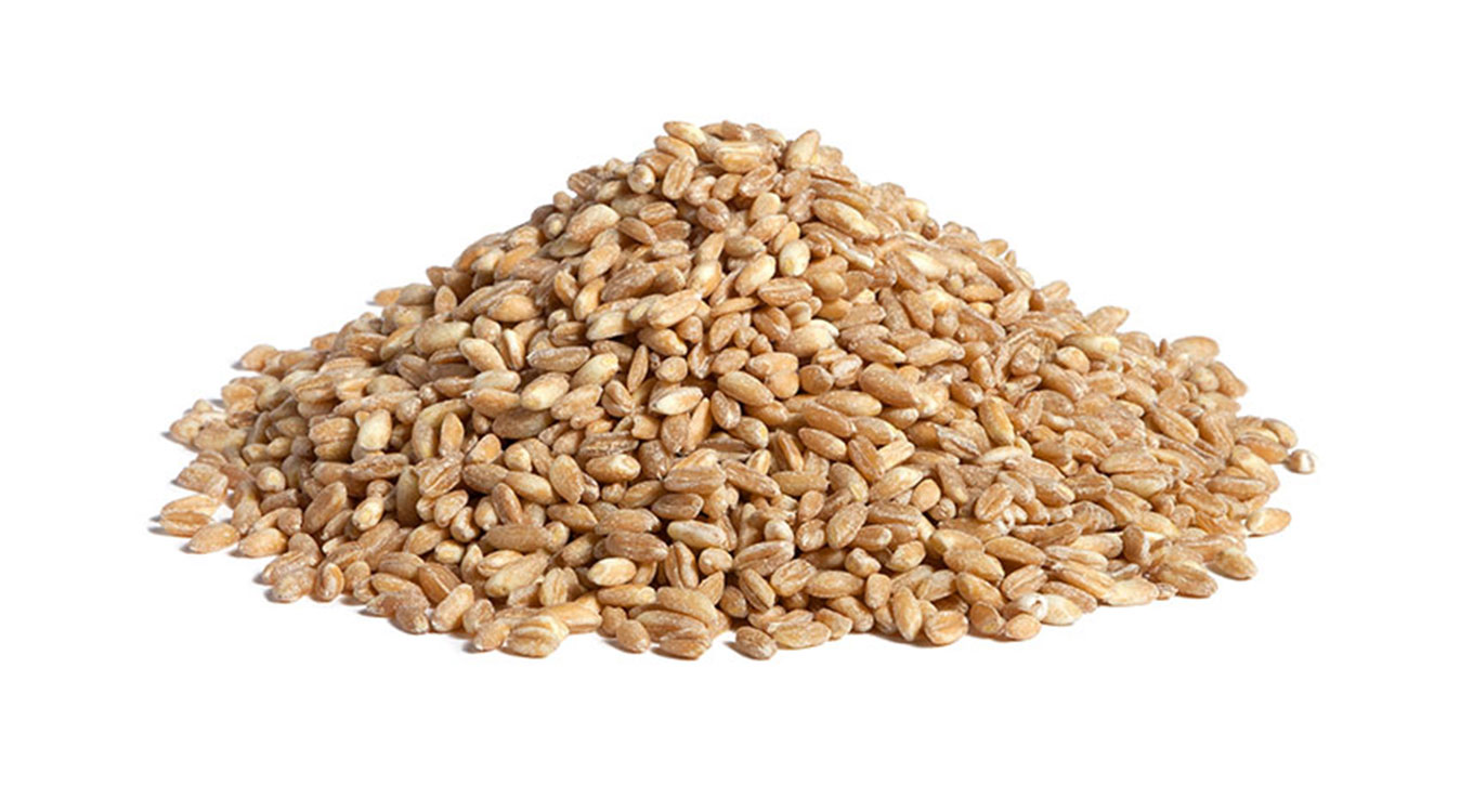 Precooked Cereals, Grains & Pulses Slider Header 2